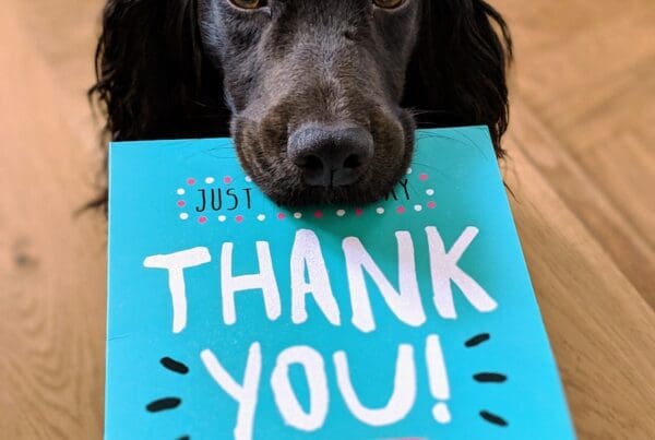 dog biting Thank You mail paper